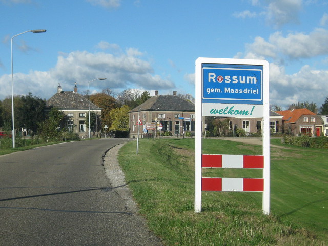 rossum3209