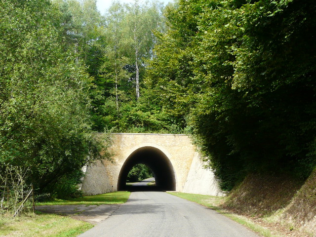 P1190288n81tunnel