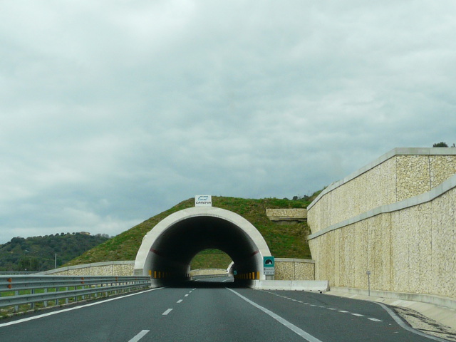 P1220842a3zinvolletunnel