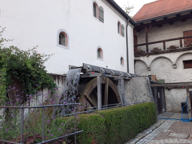20260719_184600wangen