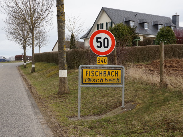 DSC03500fischbach