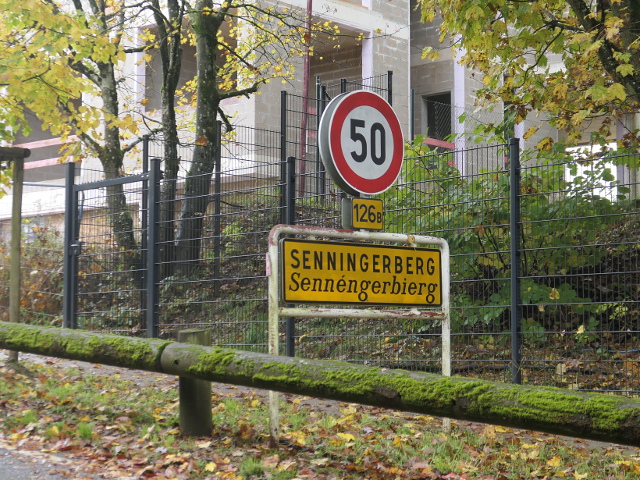 P1320234senningerbergx126b