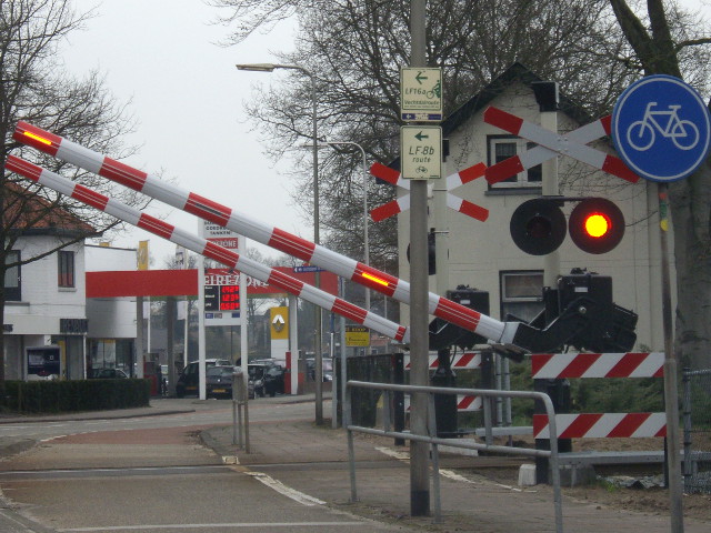 IMGP3669lf816ommen