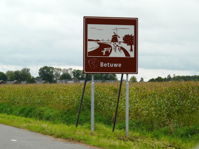 P1190690bruinbetuwe