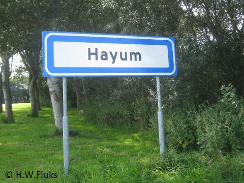 hayum_2248