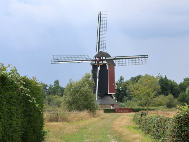 IMG_2227nederasselt_z
