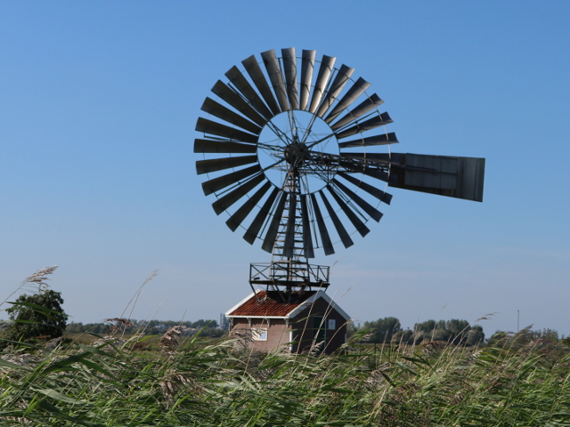 IMG_4438zaandamdeherkules_z