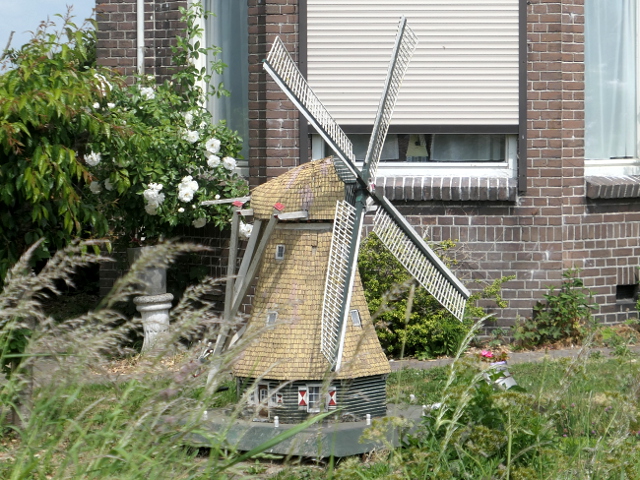 P1370307zwammerdam_z