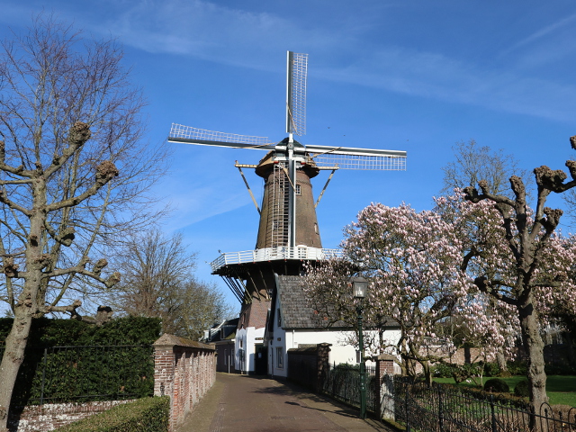 IMG_0337loenenadvecht_z