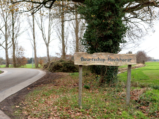 IMG_7088havikhorst_w