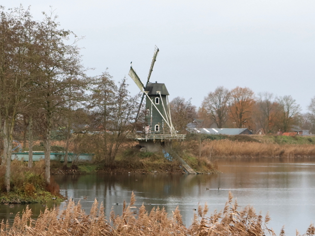 IMG_7472somereneind_z