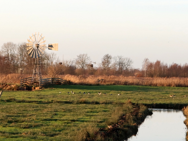 IMG_7734eernewoude_z