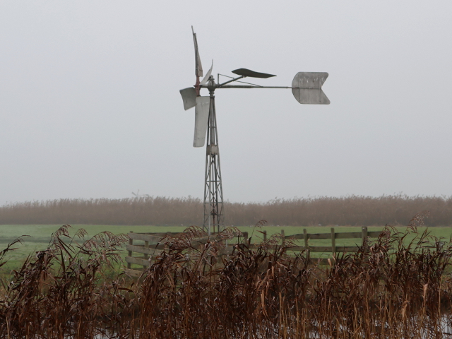 IMG_7874spijkerboor_z