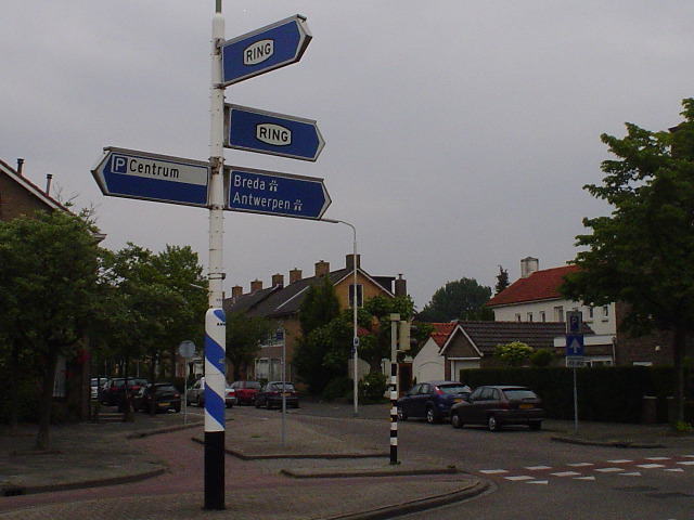 DSC04394ringroos