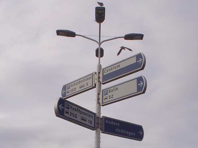 DSC05839zierik1