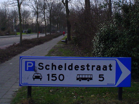 DSC05841zierik3