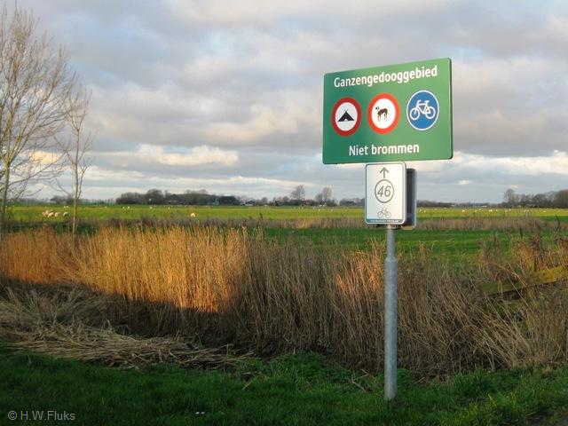 ganzengedoogezumazijl