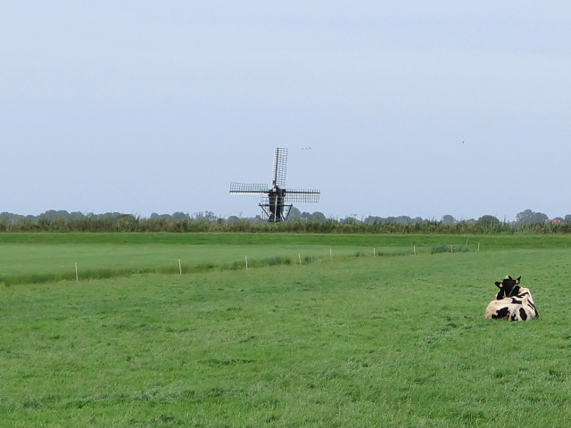 IMG_2480oppenhuizen_z