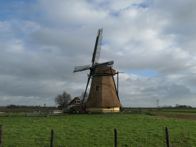P1330184workum_z