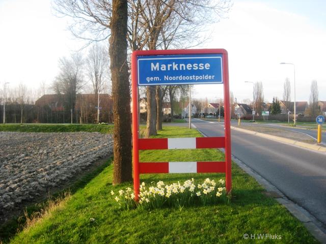 marknesse8463