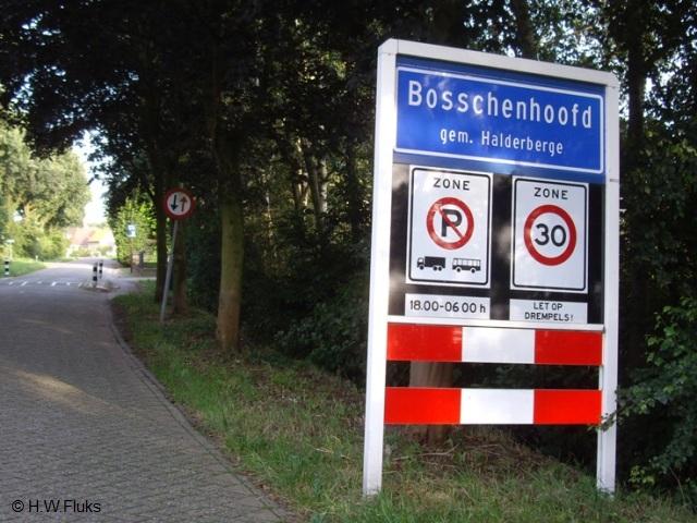 bosschenhoofdIMGP7477