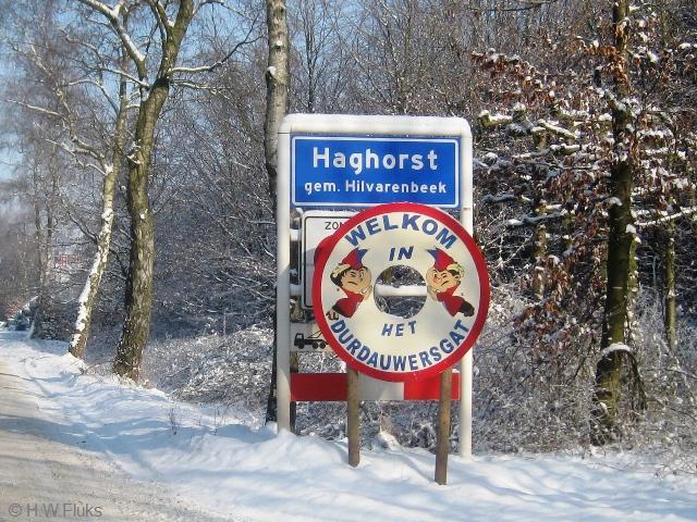 haghorst7690