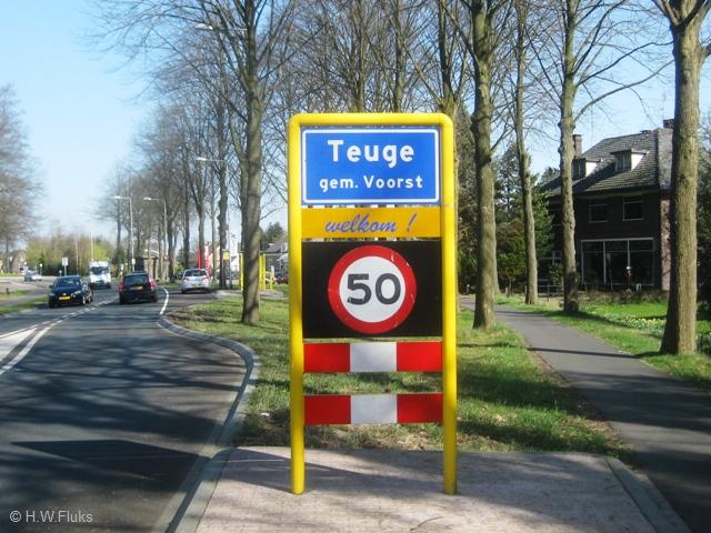 teuge8481