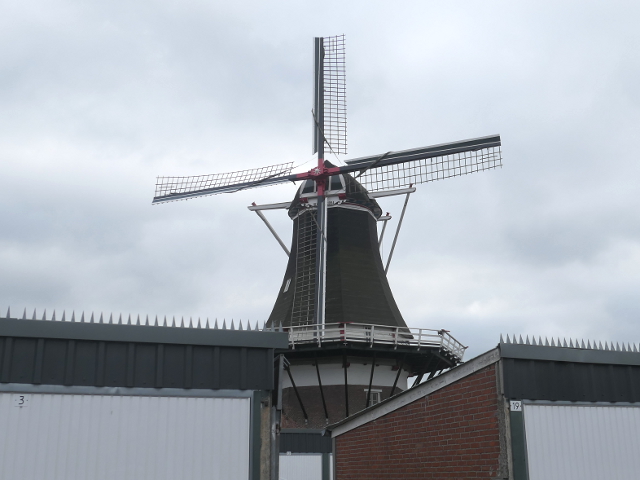P1350043almelo_z