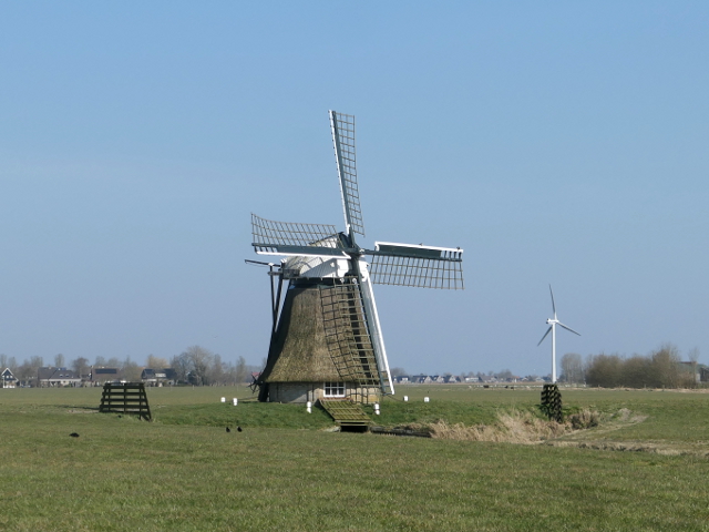 P1350325trijehuzen_z