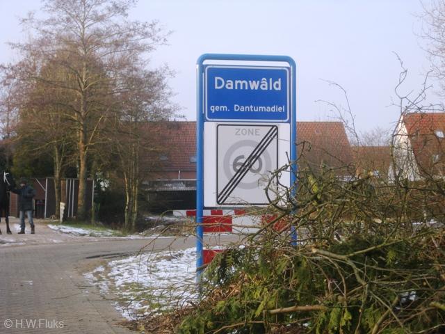damwald7869