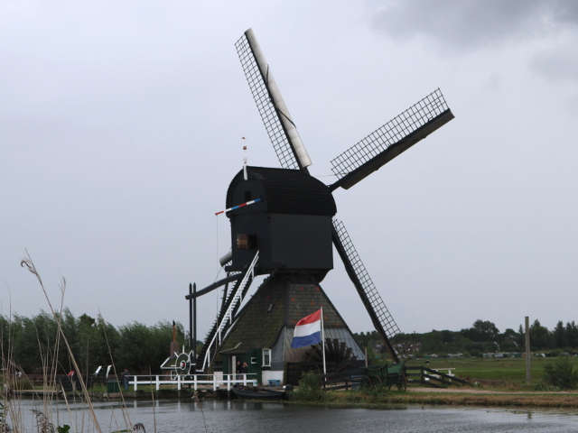 IMG_3983alblasserdam_z