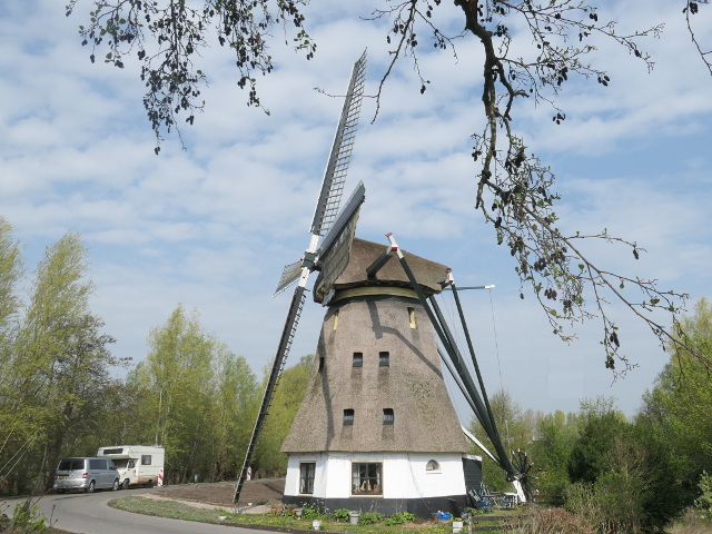P1360167aalsmeer_z