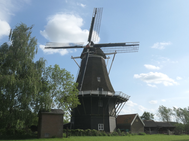 P1360782marleolstwijhe_z