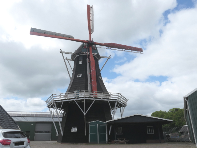 P1360816norg_z