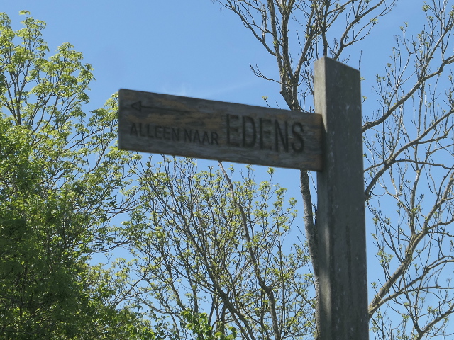 P1370014edens_n