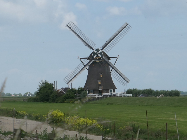 P1370300aarlanderveen_z