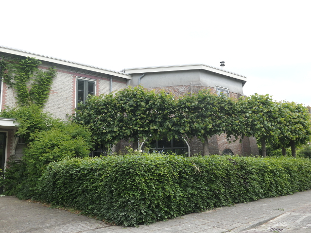 P1370412hillegom_z