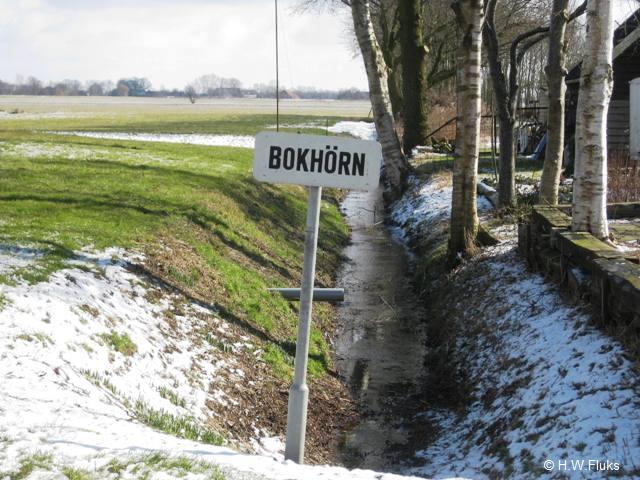 bokhorn6499