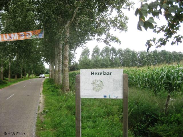hezelaar0205