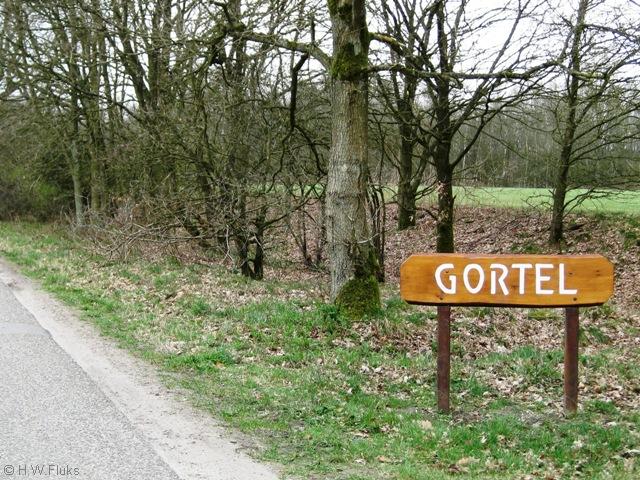 gortel006