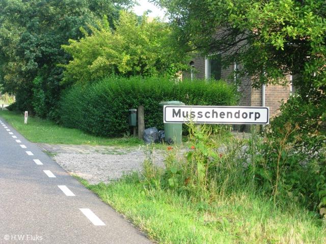 musschendorp3473