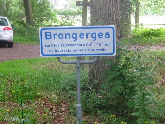 brongergea4131