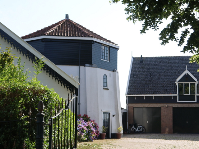 IMG_1557edam_z