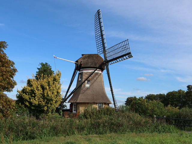 IMG_4212tietjerk_z