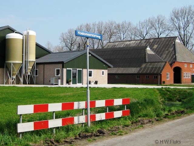 hoeksmeer019