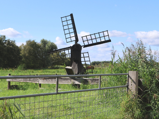 IMG_3950middel_z