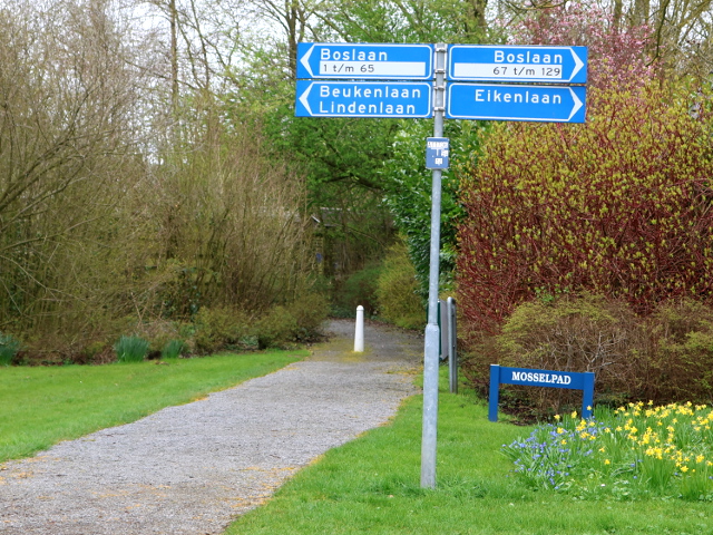 IMG_0731parkketelhaven_n