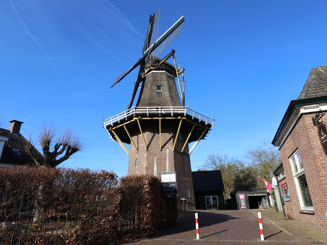 IMG_1016hoonhorst_z