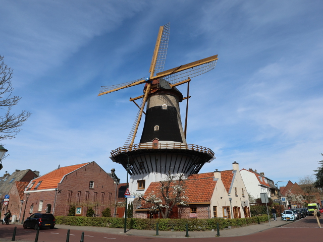 IMG_1124wassenaar_z