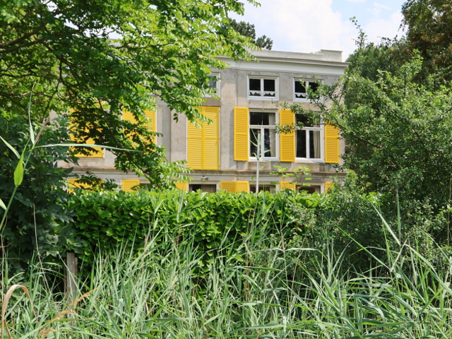 IMG_3550koudekerkemoesbosch